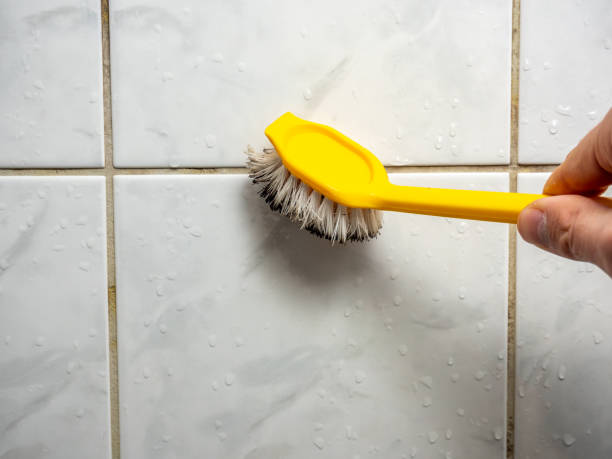 Best Insurance-Related Mold Remediation in Erwinville, LA